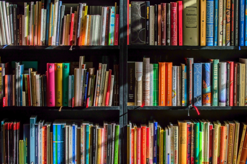 boutique-GREOLIERES-min_books_bookstore_book_reading_shop_writer_sale_books_read-822866